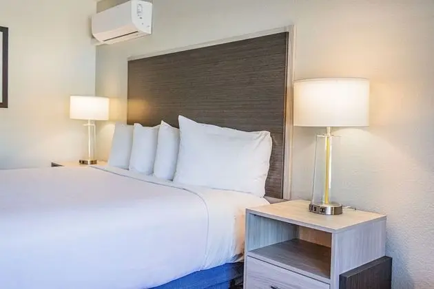 Deluxe Oda, 1 En Büyük (King) Boy Yatak, Balkon, Bahçe Manzaralı