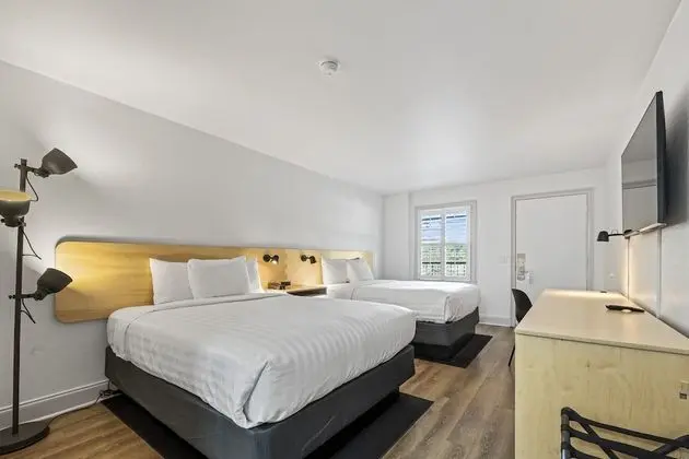 Oda, 2 Büyük (Queen) Boy Yatak, Sigara İçilmez (Pet Friendly)