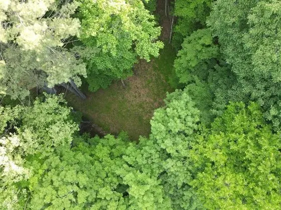 Ev, Birden Çok Yatak (Creekview Cabin)