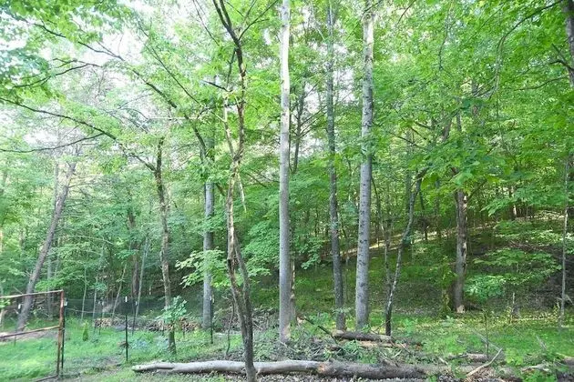 Ev, Birden Çok Yatak (Creekview Cabin)