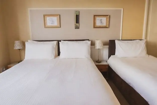 Standard Üç Kişilik Oda, Banyolu/Duşlu (Family Room)