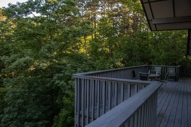 Kır Evi (Crescent Treetop)