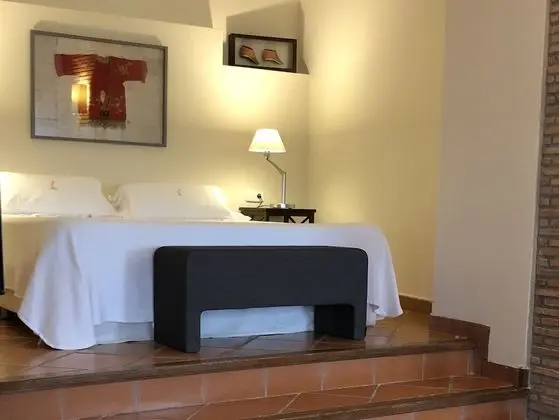 Junior Süit (Arbequina)