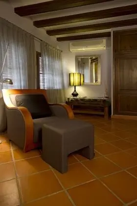 Junior Süit (Arbequina)