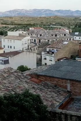 Junior Süit (Arbequina)