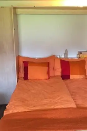 Ev