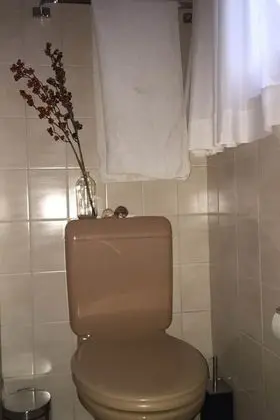 Ev