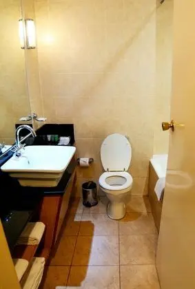 Deluxe Oda, 1 Çift Kişilik Yatak, Şehir Manzaralı