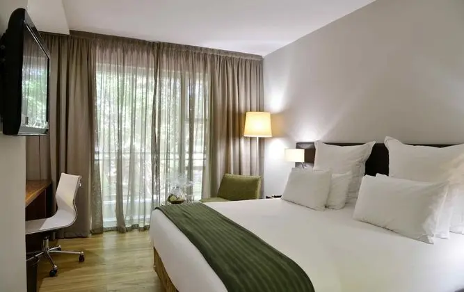 Deluxe Oda, 1 Çift Kişilik Yatak