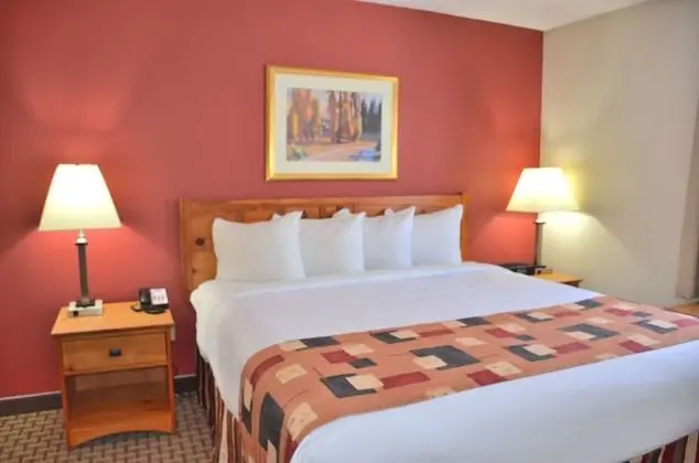 Stüdyo Süit, 1 Yatak Odası (1 King Bed)