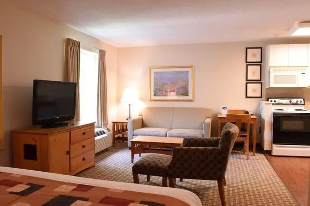 Stüdyo Süit, 1 Yatak Odası (1 King Bed)