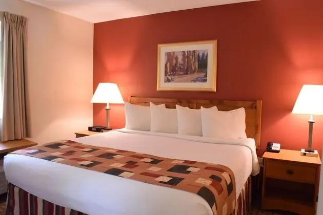 Stüdyo Süit, 1 Yatak Odası (1 King Bed)