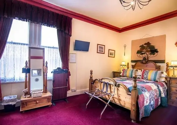 Comfort Tek Büyük Yataklı Oda, Banyolu/Duşlu (Pine)