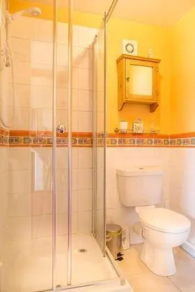 Comfort Tek Büyük Yataklı Oda, Banyolu/Duşlu (Pine)
