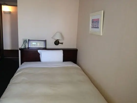 Deluxe Tek Kişilik Oda, Sigara İçilebilir