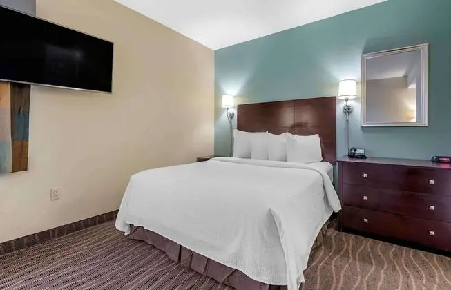 Deluxe Stüdyo, 1 Büyük (Queen) Boy Yatak, Sigara İçilmez, Buzdolabı ve Mikrodalga