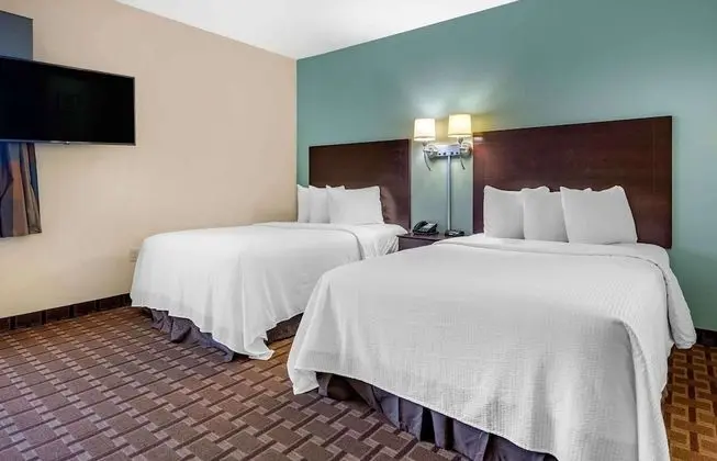 Deluxe Stüdyo, 2 Çift Kişilik Yatak, Sigara İçilmez, Buzdolabı ve Mikrodalga