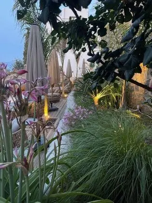 Junior Suite Garden View