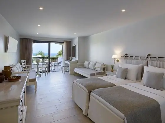 Family Tek Büyük Yataklı Oda (Open plan)