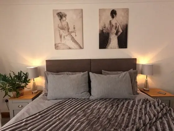 Deluxe Tek Büyük veya İki Ayrı Yataklı Oda