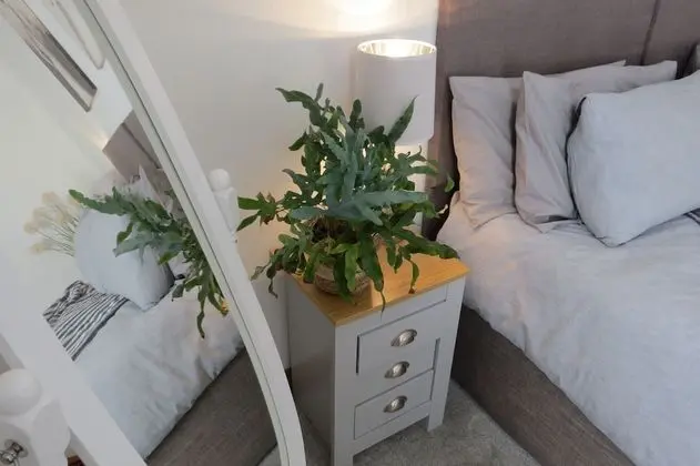 Deluxe Tek Büyük veya İki Ayrı Yataklı Oda
