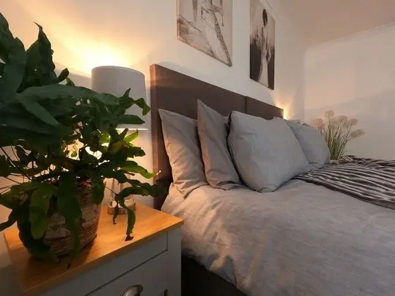Deluxe Tek Büyük veya İki Ayrı Yataklı Oda