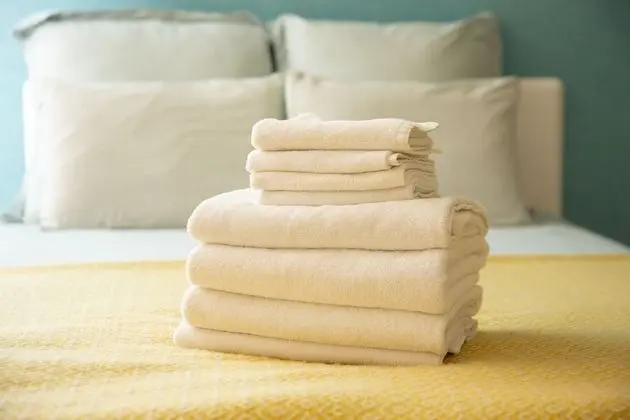 Executive Apart Daire, Sigara İçilmez (Room 401)