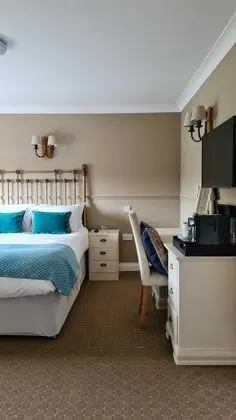 Tek Büyük Yataklı Oda, Banyolu/Duşlu (Room 1)