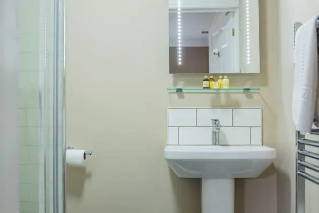 Tek Büyük Yataklı Oda, Banyolu/Duşlu (Room 1)