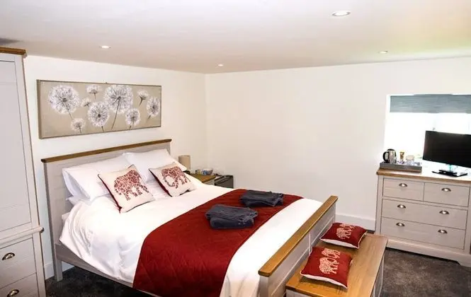 Deluxe Tek Büyük Yataklı Oda (Ground Floor)