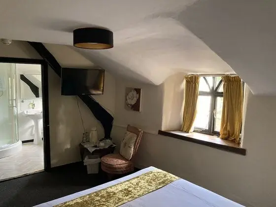 Standard Tek Büyük Yataklı Oda, Banyolu/Duşlu