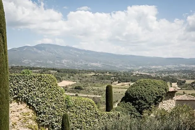 Oda (Prestige Ventoux)