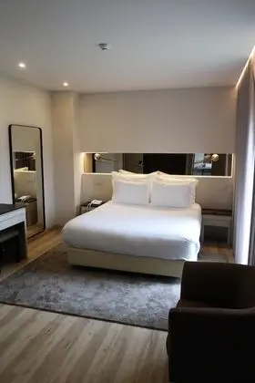 Standard Tek Büyük Yataklı Oda, 1 Çift Kişilik Yatak, Sigara İçilmez