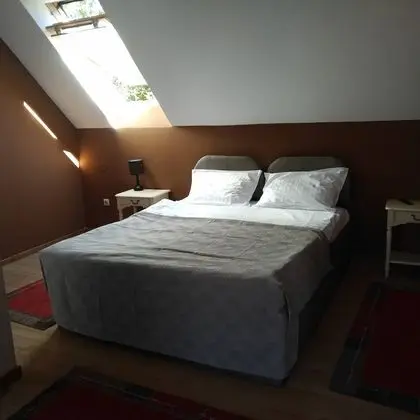 Deluxe Tek Büyük veya İki Ayrı Yataklı Oda