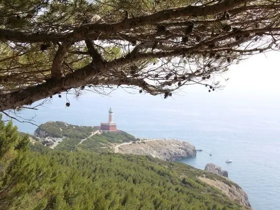 Deluxe Oda, Balkon, Deniz Manzaralı