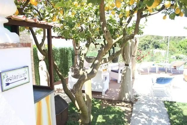 Superior Oda, Deniz Manzaralı