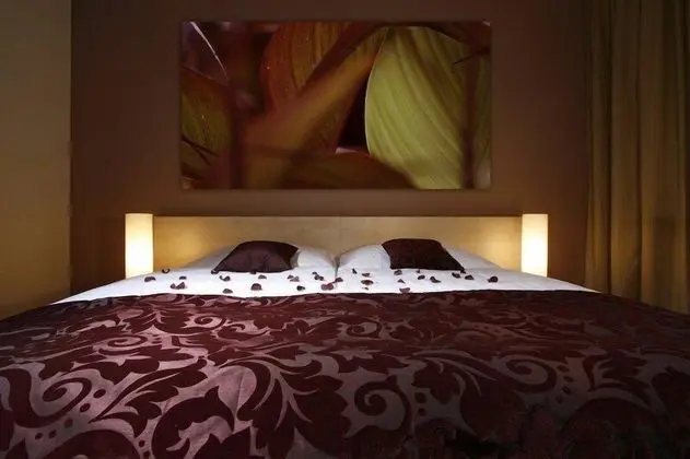 Comfort Apart Daire, 1 Yatak Odası, Şömine