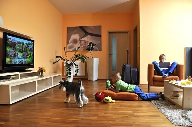 Comfort Apart Daire, 1 Yatak Odası, Şömine