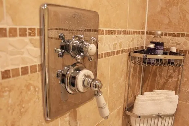 Deluxe Tek Büyük Yataklı Oda, Banyolu/Duşlu (The Gloucester)