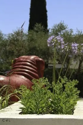 Design Tek Büyük Yataklı Oda, 1 Büyük (Queen) Boy Yatak, Teras, Bahçeli