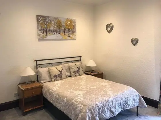 Comfort Tek Büyük Yataklı Oda, 1 Çift Kişilik Yatak, Sigara İçilmez, Bahçe Manzaralı
