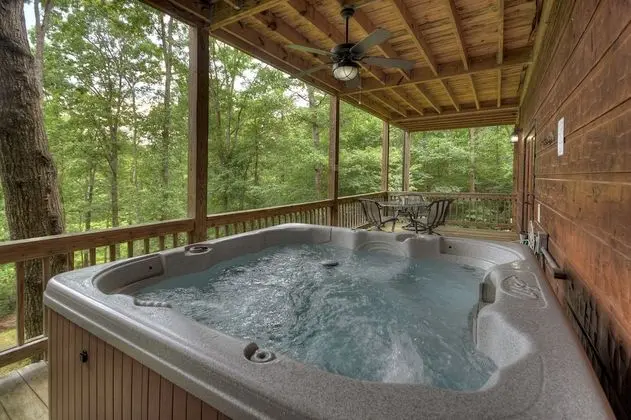 Kulübe (Crooked Creek- Creekview near Ocoee R)