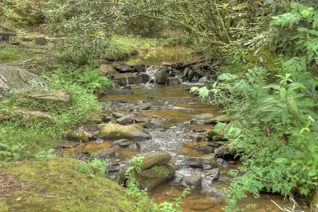 Kulübe (Crooked Creek- Creekview near Ocoee R)