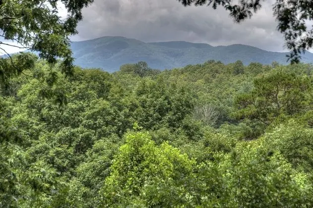 Kulübe (Crooked Creek- Creekview near Ocoee R)