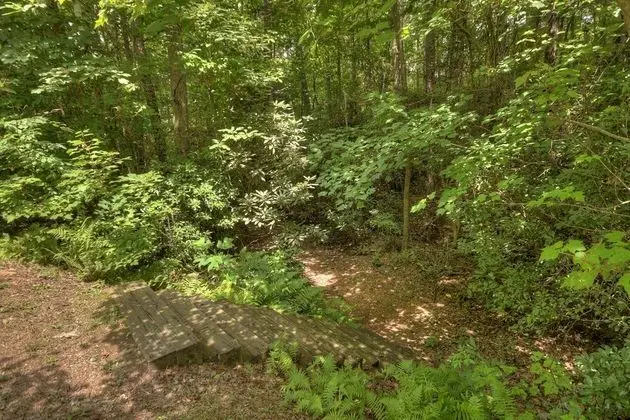Kulübe (Crooked Creek- Creekview near Ocoee R)