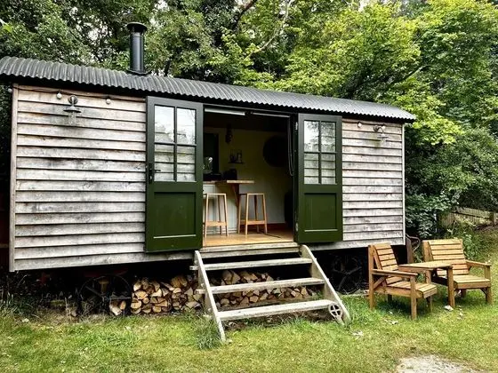 Luxury Kulübe, Banyolu/Duşlu (The Jolly Potter)