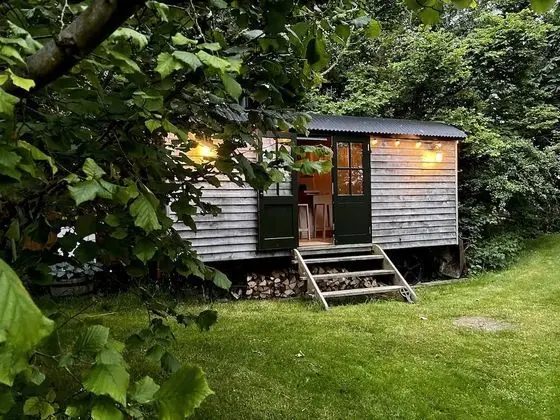 Luxury Kulübe, Banyolu/Duşlu (The Jolly Potter)