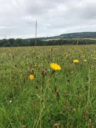 Kulübe, 1 Büyük (Queen) Boy Yatak