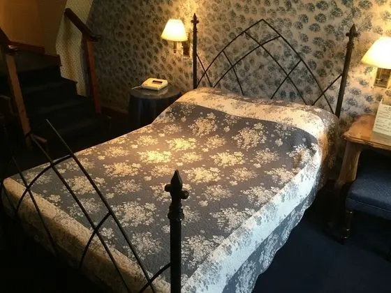 Superior Tek Büyük Yataklı Oda, Banyolu/Duşlu (Superior Double with Bath)