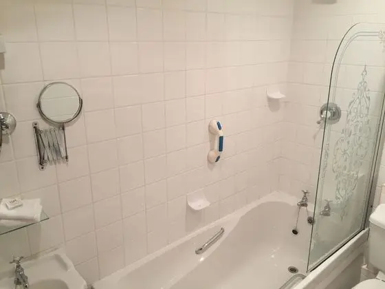 Superior Tek Büyük Yataklı Oda, Banyolu/Duşlu (Superior Double with Bath)
